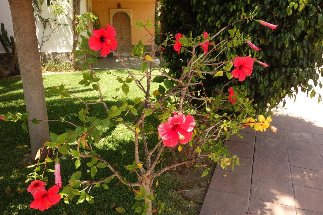 Vera Playa Spain - La Menara Naturist Complex - Eagles Nest - Penthouse Екстер'єр фото